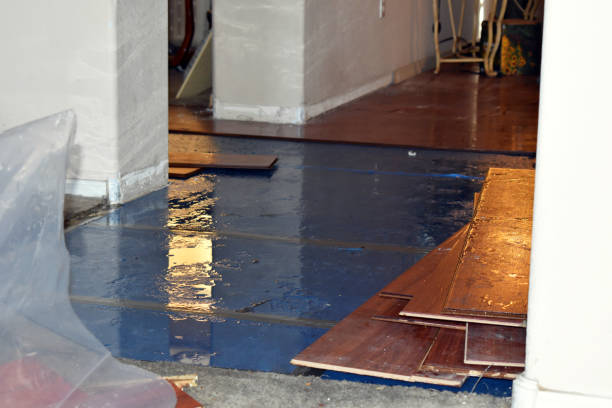Professional Sewage Cleanup technician working in Temperance, MI